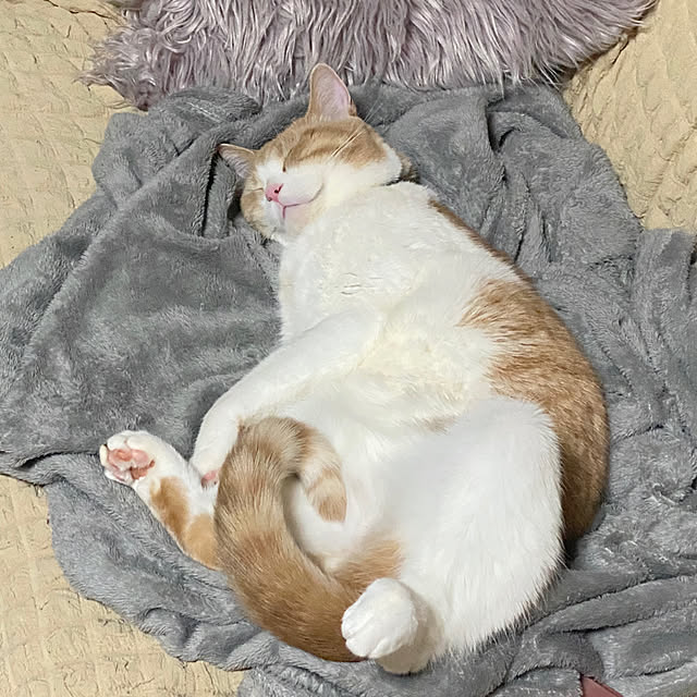 mintteaさんの部屋