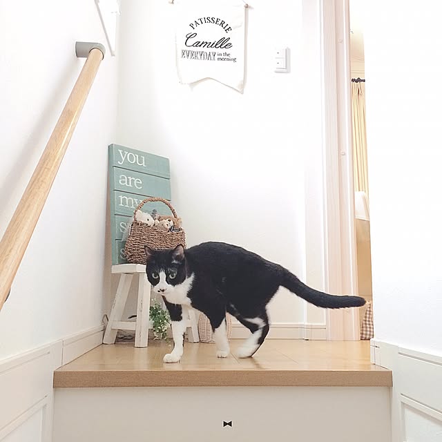 lovecatさんの実例写真