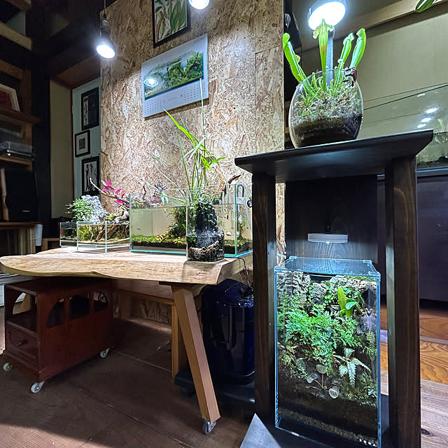 ginjiさんの部屋