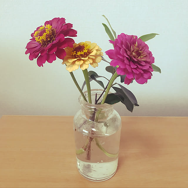 plumさんの実例写真