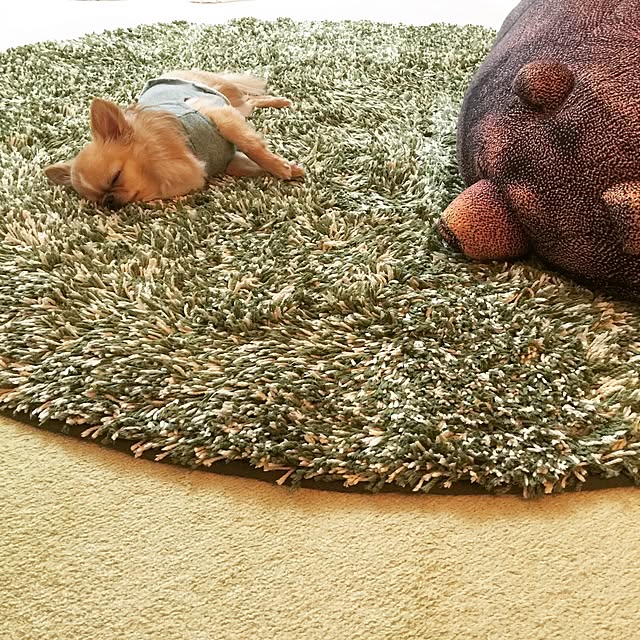 haruhinaさんの実例写真