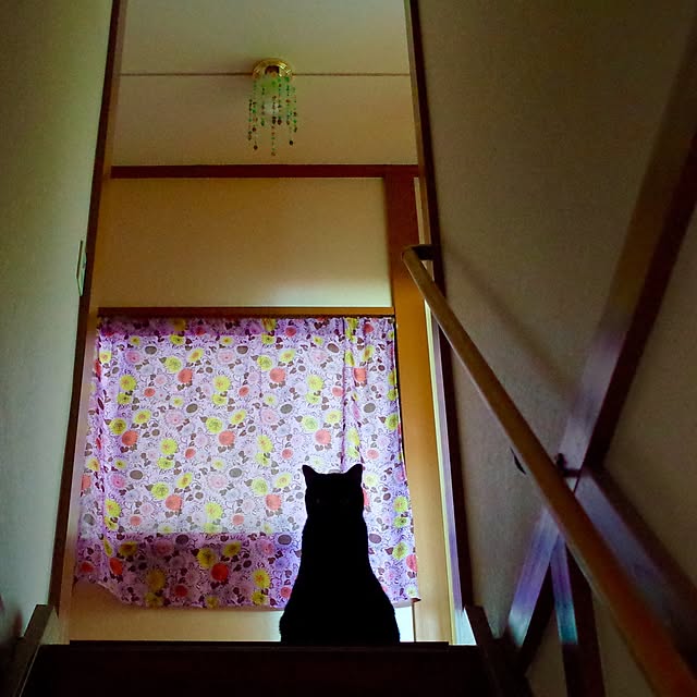 hilaさんの部屋