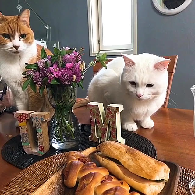nyanko-beamさんの実例写真