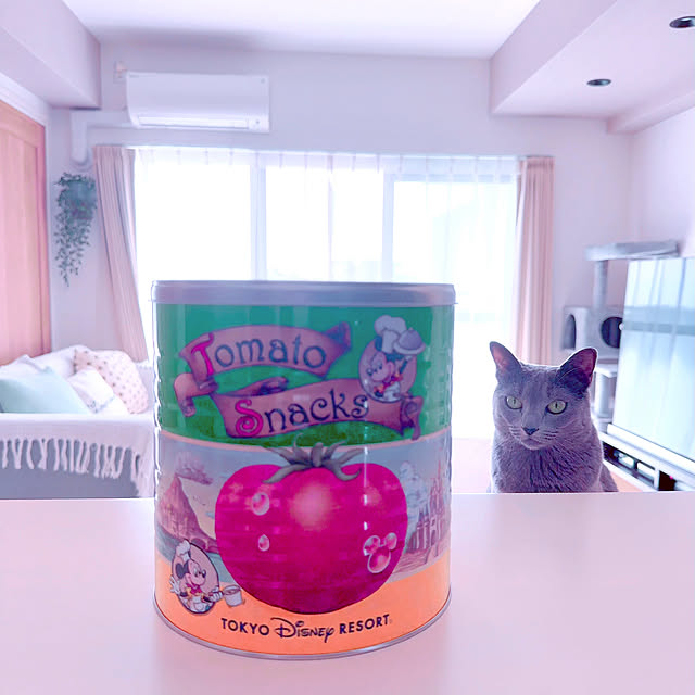 snoopyさんの実例写真