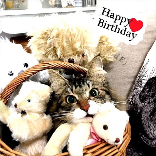yuchiさんの実例写真