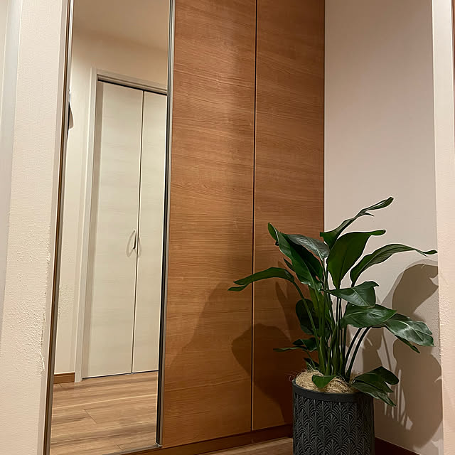 ikuzakさんの部屋