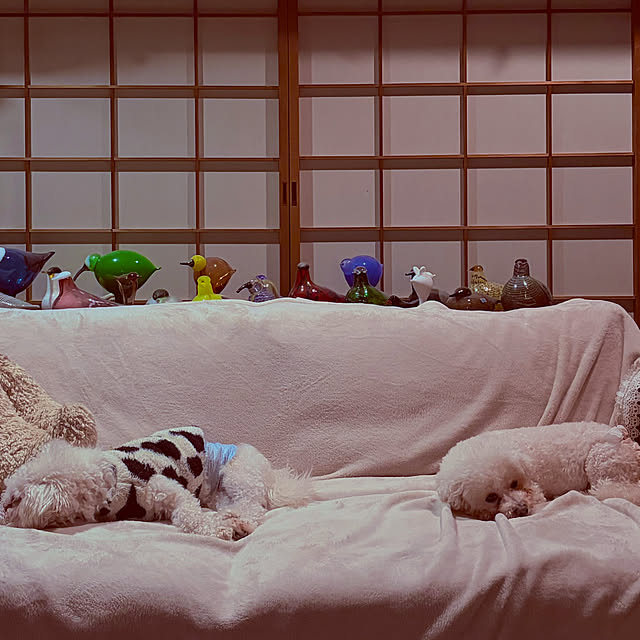 chacoさんの部屋