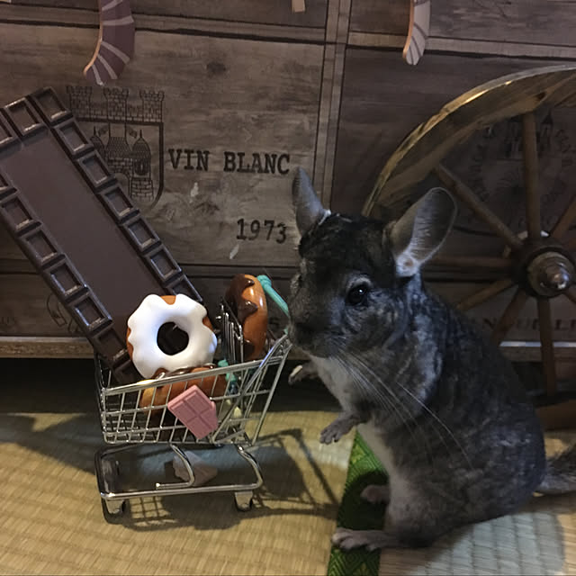 bambiさんの実例写真