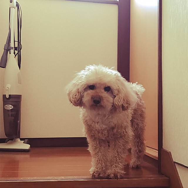 Masumilkさんの実例写真