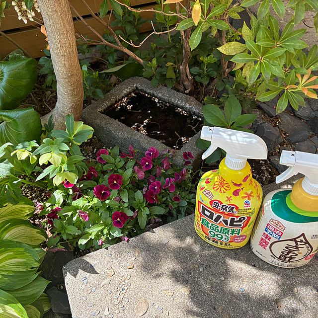 mirutanさんの部屋