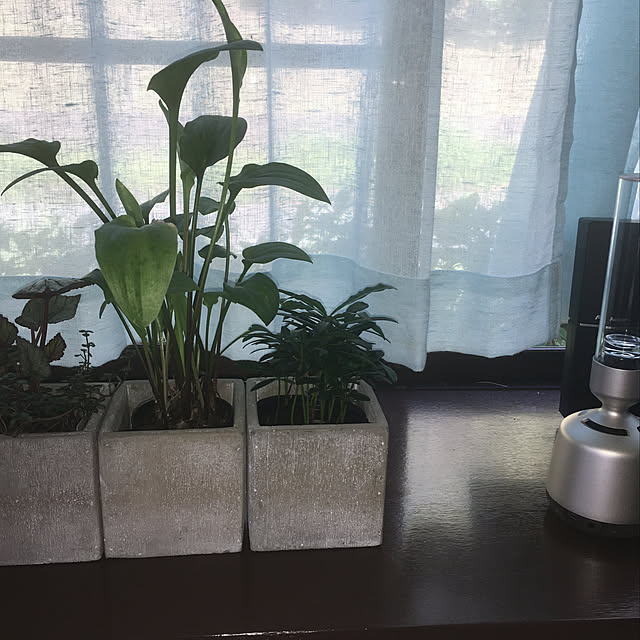 halu8686さんの実例写真