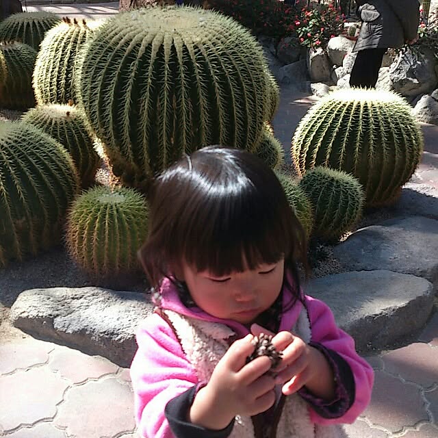 COLeCoさんの実例写真