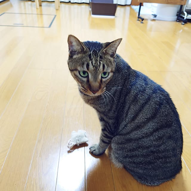 nachiさんの部屋