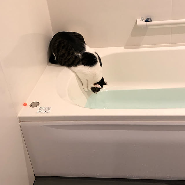 nitsukoさんの実例写真