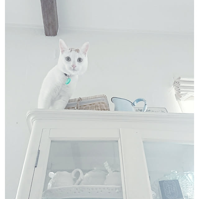 kiyosukeさんの実例写真