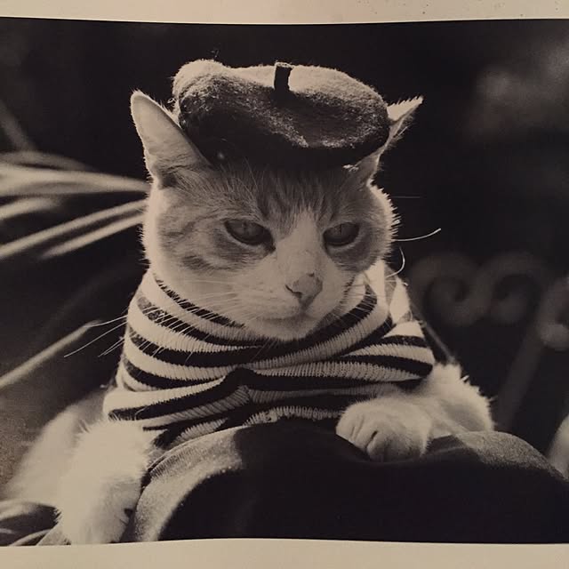 catwomanさんの実例写真