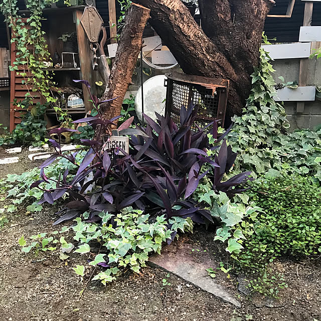 bibianさんの実例写真