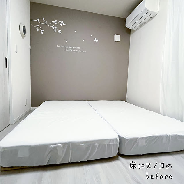 chomoさんの部屋