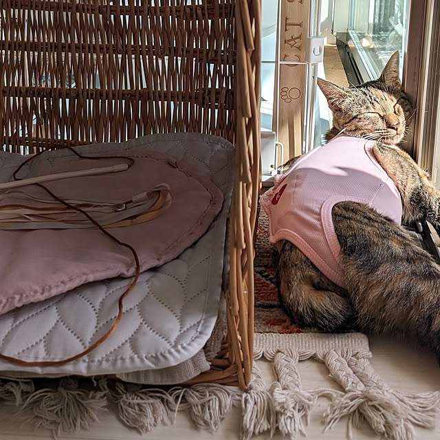 flannel.さんの実例写真