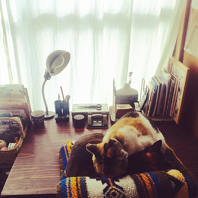 PEさんの実例写真