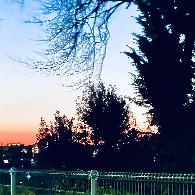 chacoさんの部屋