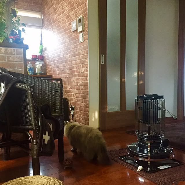 butachanさんの実例写真