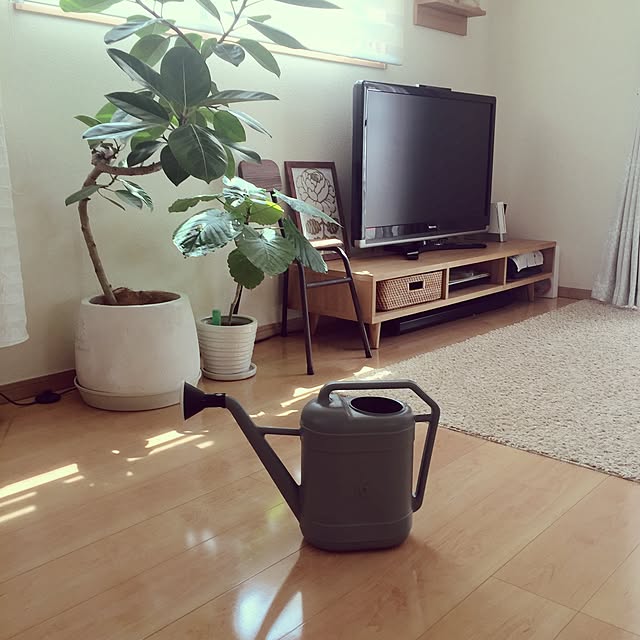 sazaeさんの実例写真