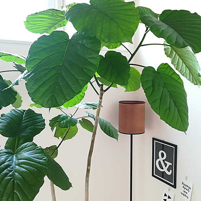 Jijiさんの実例写真