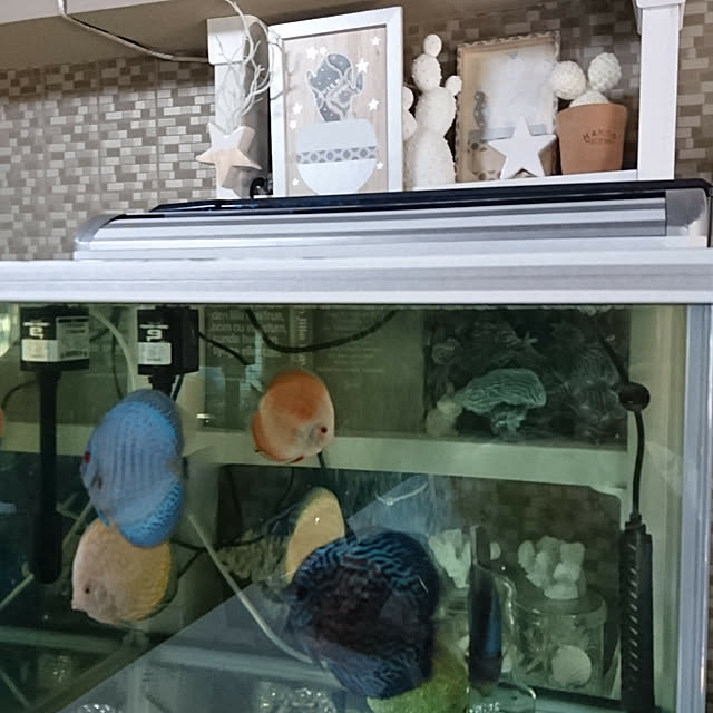 mhkさんの実例写真