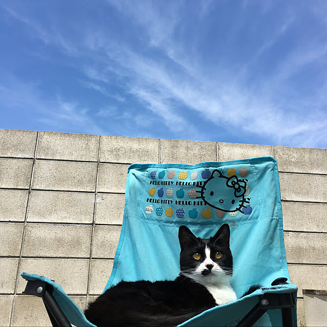 nekoさんの実例写真
