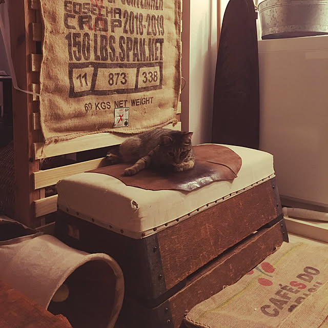 Mさんの実例写真