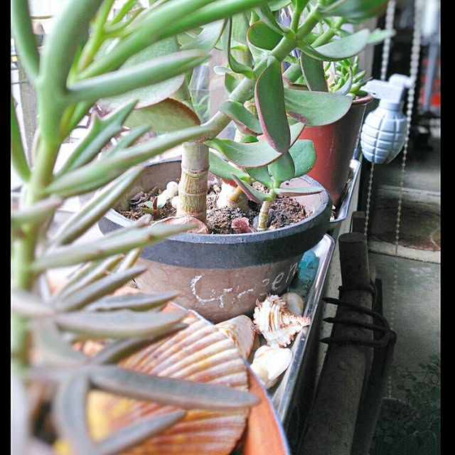 kaorinさんの実例写真