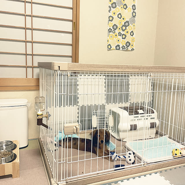 sachiさんの実例写真