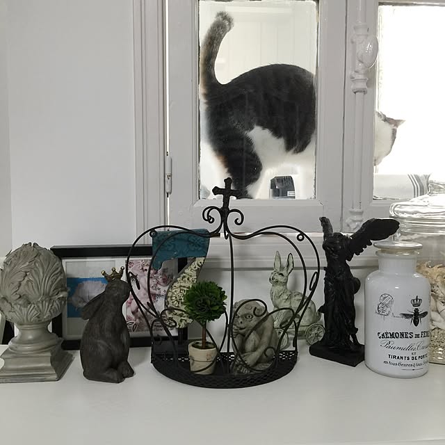 yuchiさんの実例写真