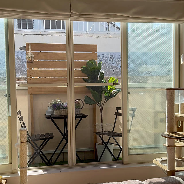 kokkomachaさんの部屋