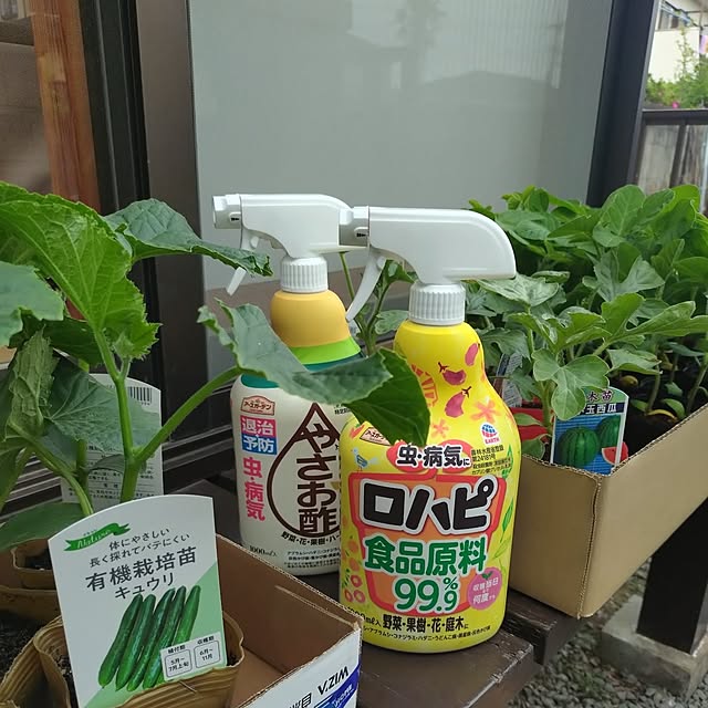 NOAHさんの実例写真