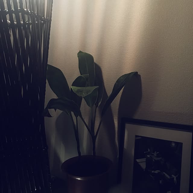 Ray.mさんの実例写真