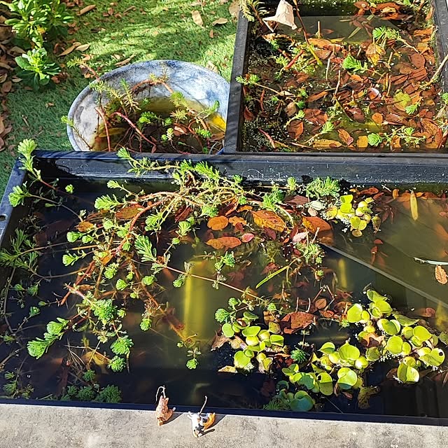 miharunさんの部屋