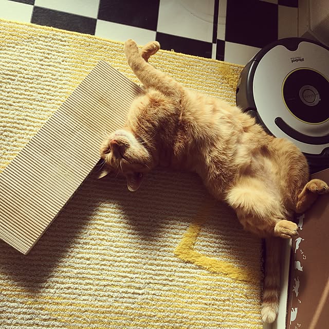miyabiさんの実例写真