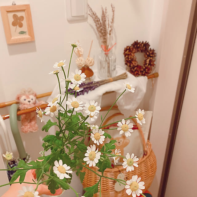 affyさんの実例写真