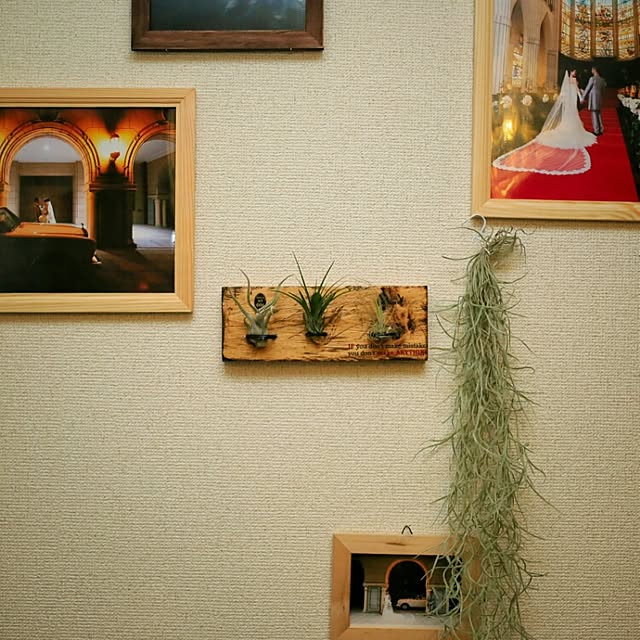 mk10さんの実例写真