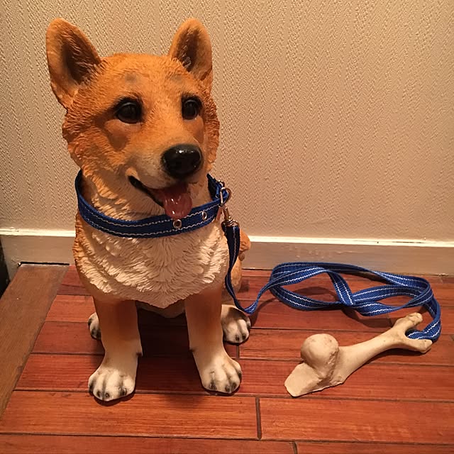 machakoさんの実例写真