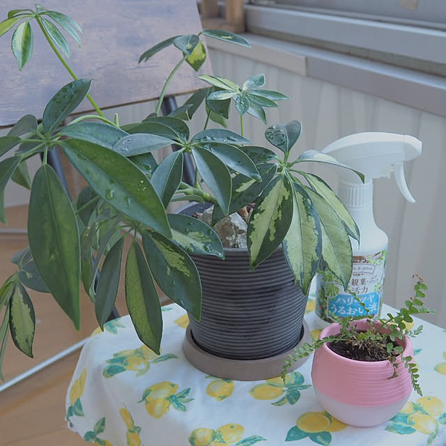 jiro19さんの実例写真