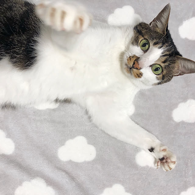 yuchiさんの実例写真