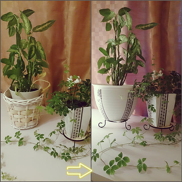 Suucoさんの実例写真