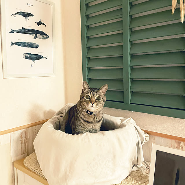t-famさんの実例写真