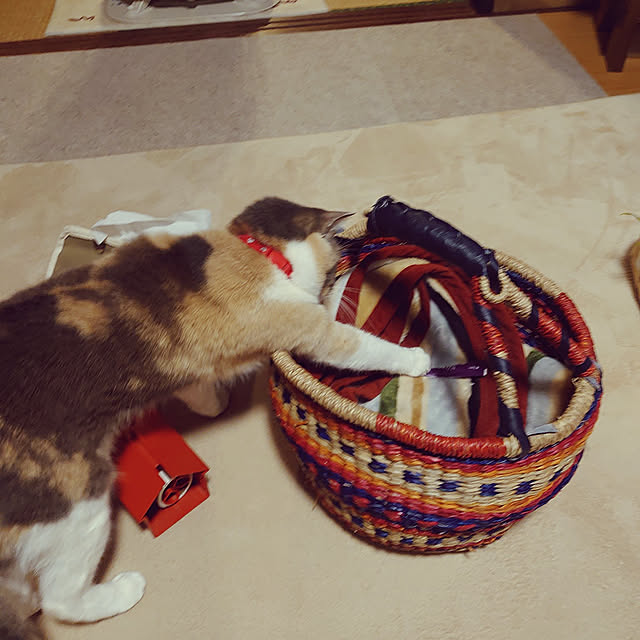 fukuさんの実例写真