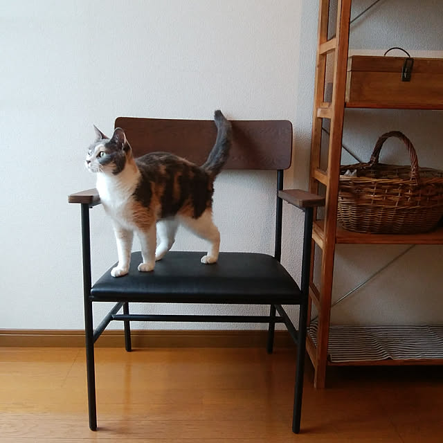 tomo1220さんの実例写真