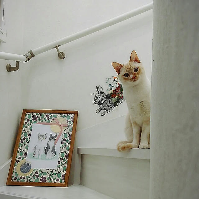 Gomaさんの実例写真