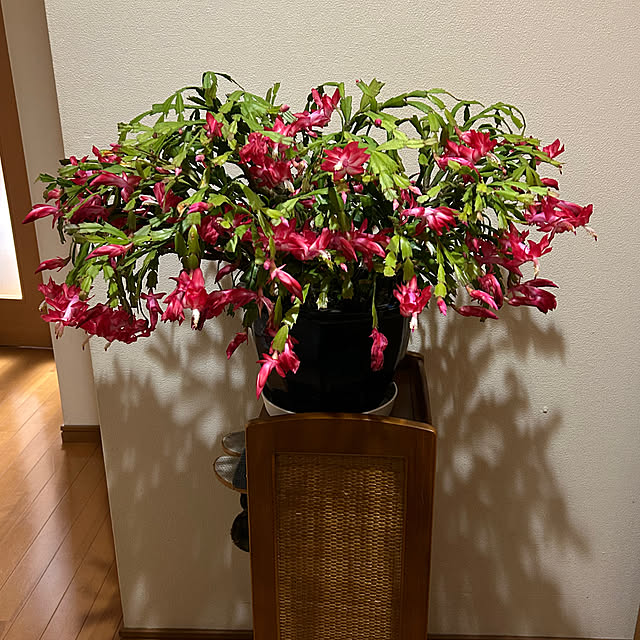 fumikoiさんの部屋